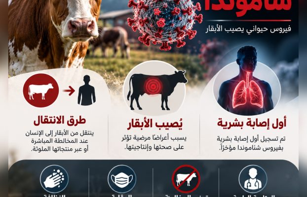 فيروس شاموندا: ماذا نعرف بعد توثيق أول إصابة بشرية؟
